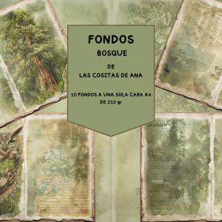 Colección física de fondos Bosque